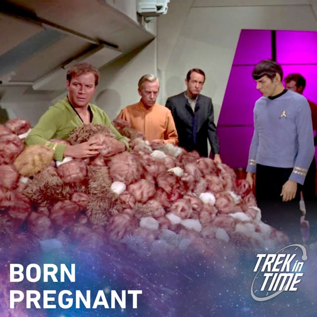 184: Star Trek TOS Season 2, “The Trouble With Tribbles” image