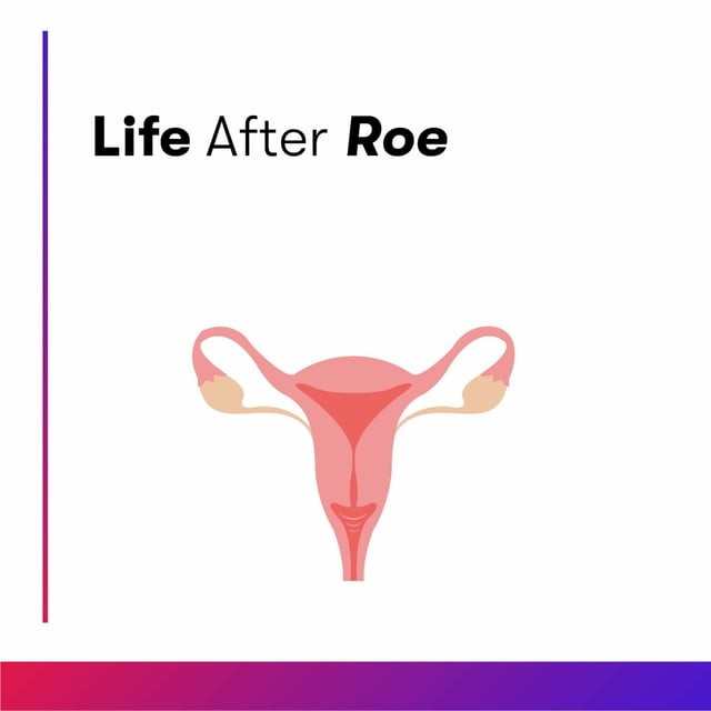 Life After Roe image