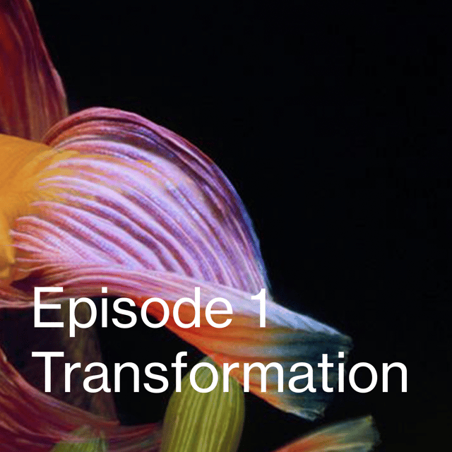 episode 1. Transformation image