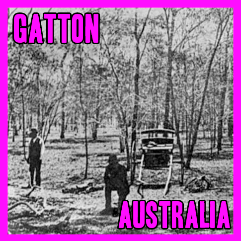 The Gatton Murders image