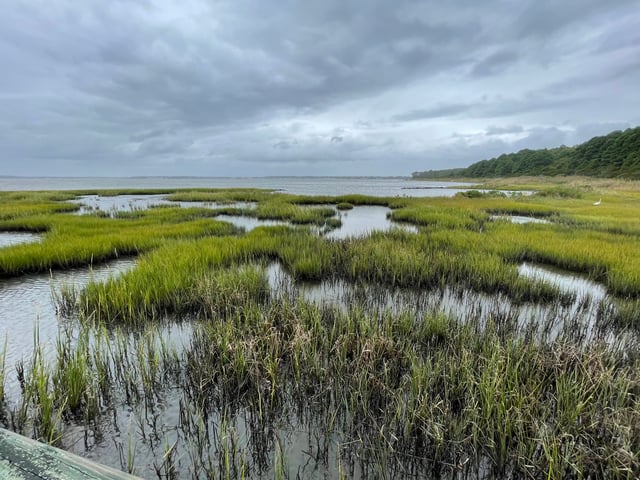 The Art of Losing Things image