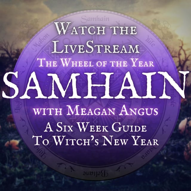 Samhain 2023: Witch's New Year image