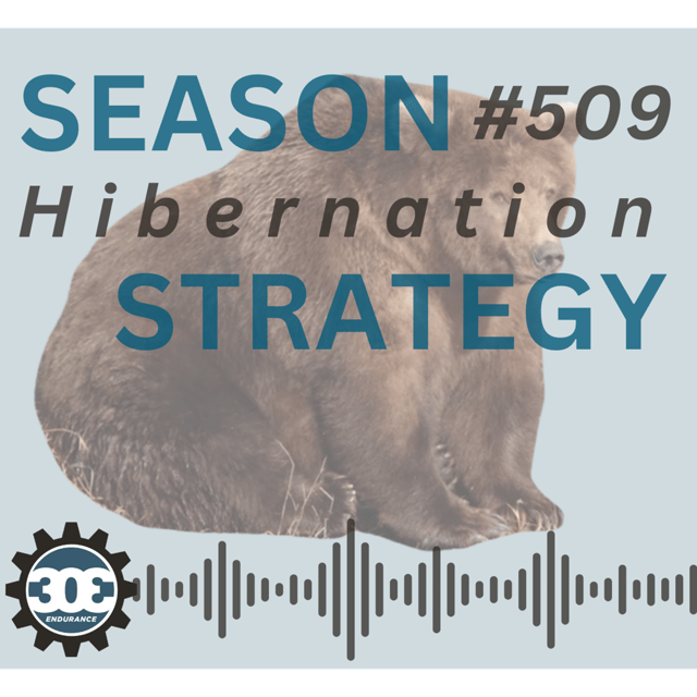 #509 Season Hibernation Strategy image