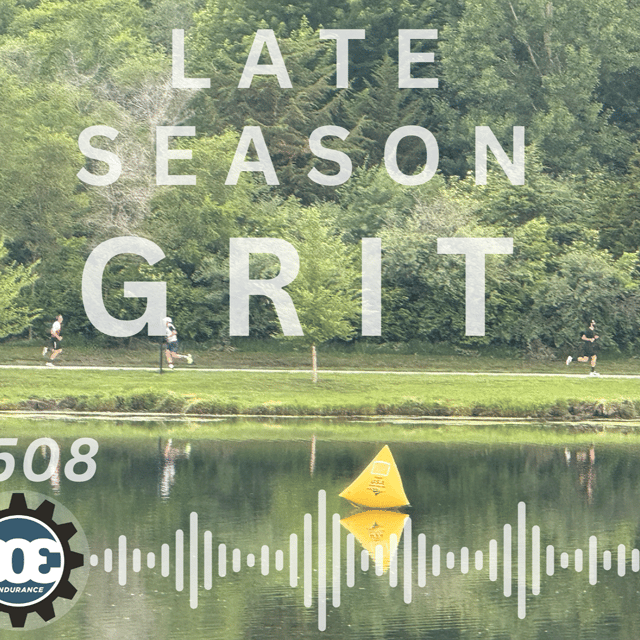 #508 Late Season Grit image