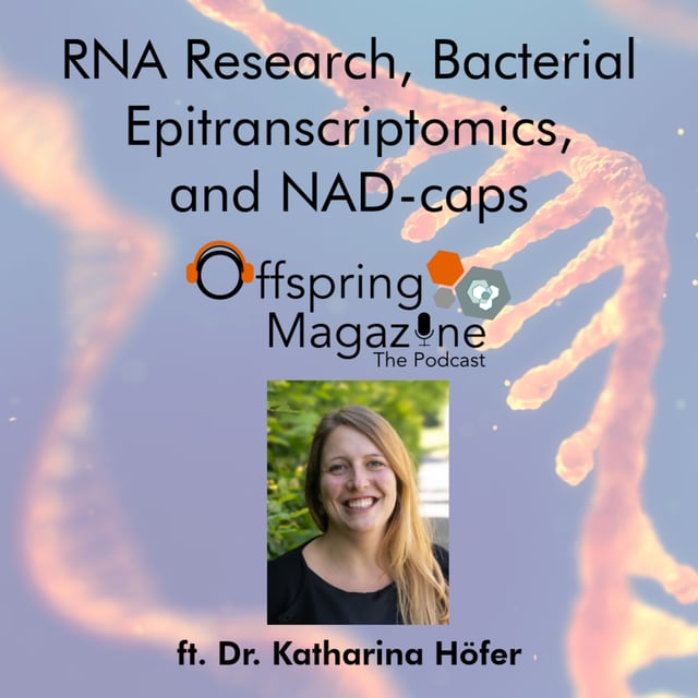 #4-06 - RNA Research, Bacterial Epitranscriptomics, and NAD-caps - Part 1 - ft. Dr. Katharina Höfer image