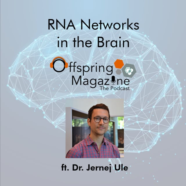 #4-14 - RNA Networks in the Brain - Part 1 - ft. Dr. Jernej Ule image