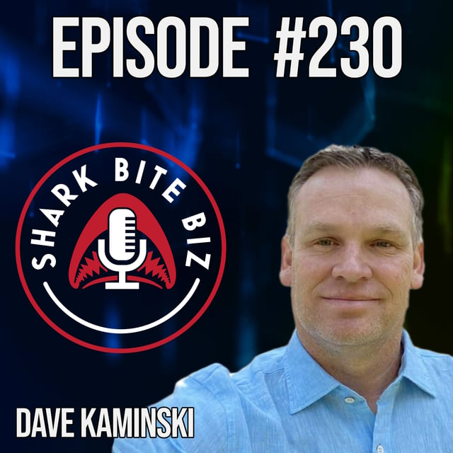 #230 SEO For YOUR BUSINESS in 2024 with Dave Kaminski of CollAborate image