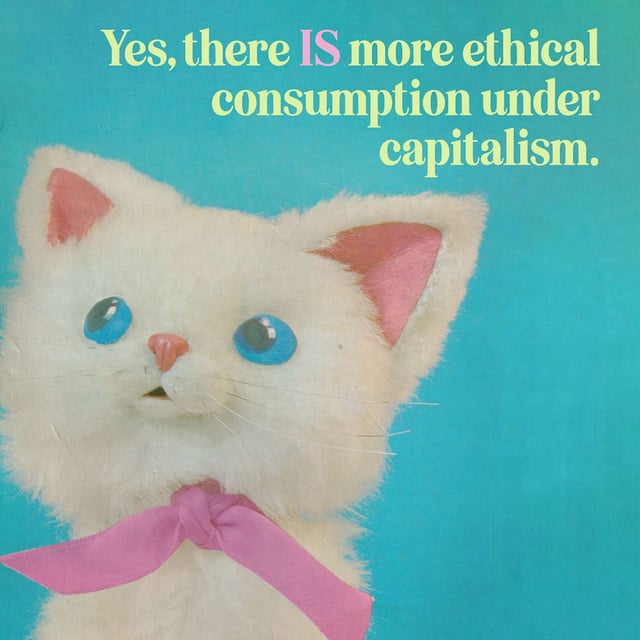 Episode 256: There IS (more) ethical consumption under capitalism (part one) with Lisa of Retro Housewife Goes Green image