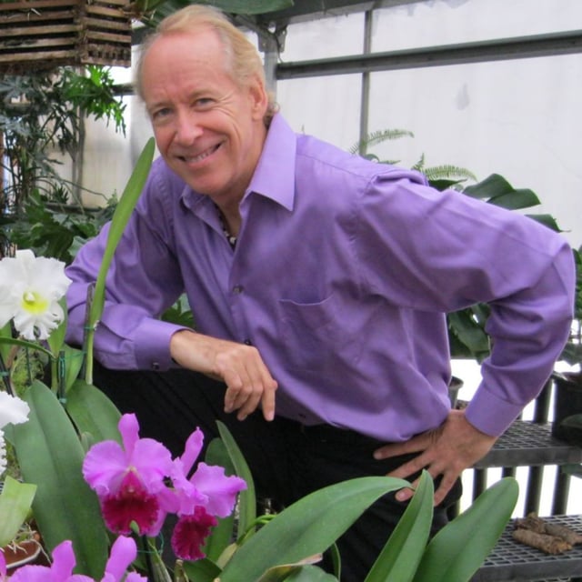 Orchids of the First Ladies image