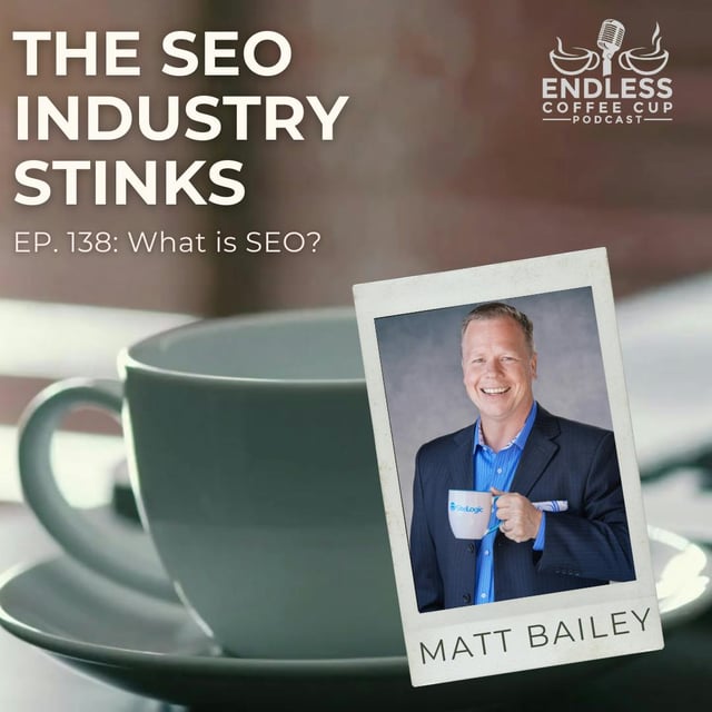 The SEO Industry Stinks image
