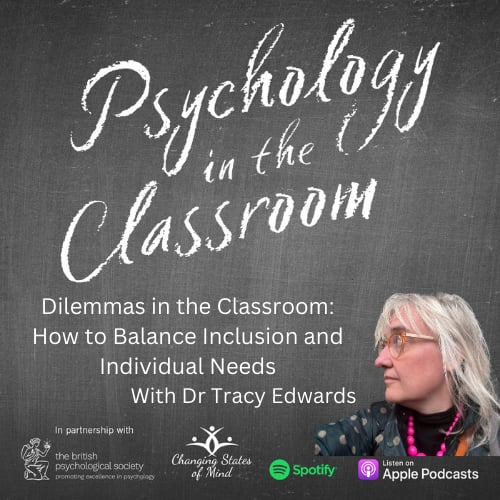 Dilemmas in the Classroom: How to Balance Inclusion and Individual Needs image