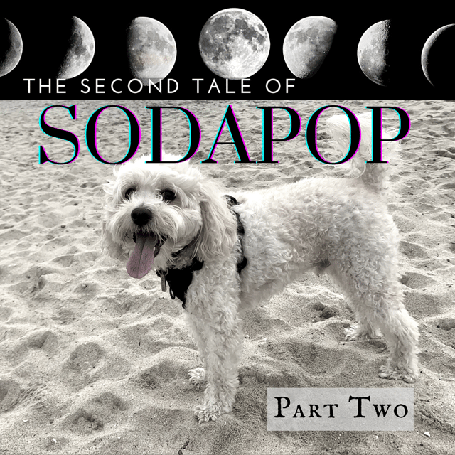 The Second Tale of Sodapop: Part 2 image