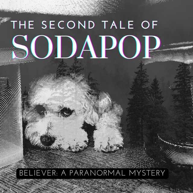 The Second Tale of Sodapop: Part 1 image