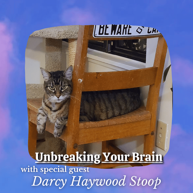Unbreaking Your Brain (with Special Guest Darcy Haywood Stoop) image