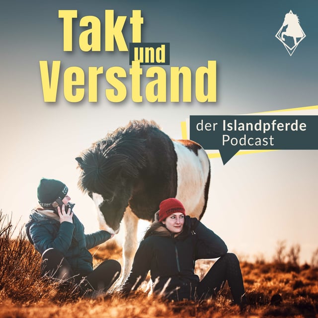Isländische Pferde – Pferdische Isländer (Island Recap) image
