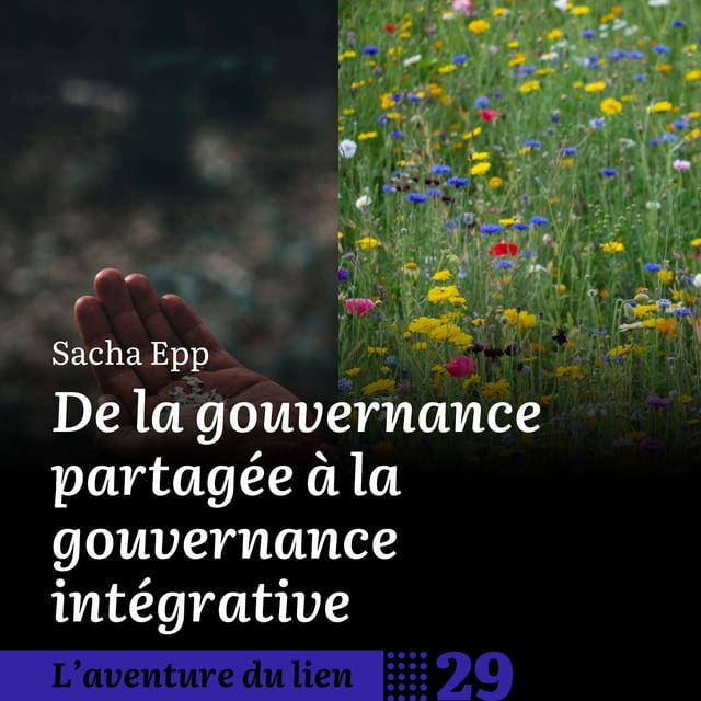 29. De la gouvernance partagée à la gouvernance intégrative - Sacha Epp image