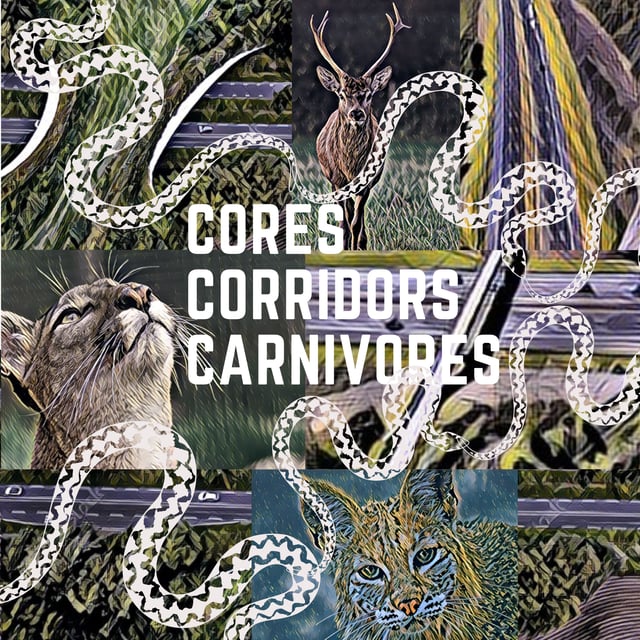 Beth Pratt | National Wildlife Federation | Coexisting with Wildlife  image