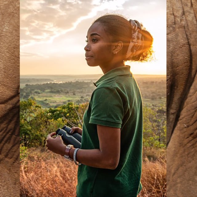Dr. Dominique Gonçalves | Elephant Conservation in Gorongosa National Park image