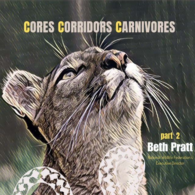Part2 | Coexisting with Wildlife | Beth Pratt, National Wildlife Federation's Executive Director  image