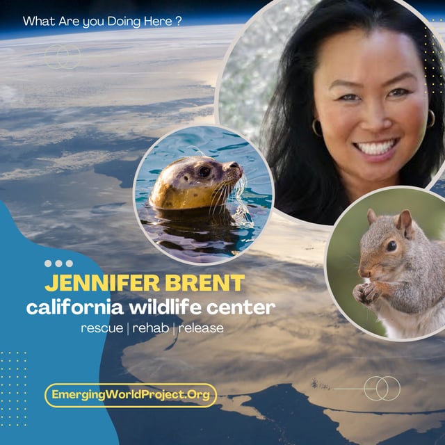  Jennifer Brent | On the California Wildlife Center's taking responsibility for the protection of native wildlife through rehabilitation, education and conservation (ENCORE s2.7) image