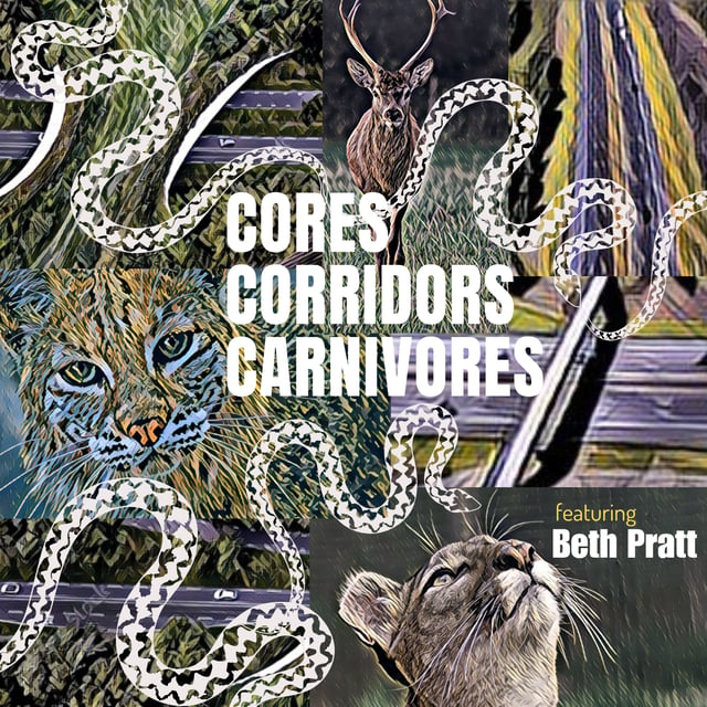Coexisting with Wildlife | Beth Pratt, National Wildlife Federation’s Executive Director for California | Part 1 image