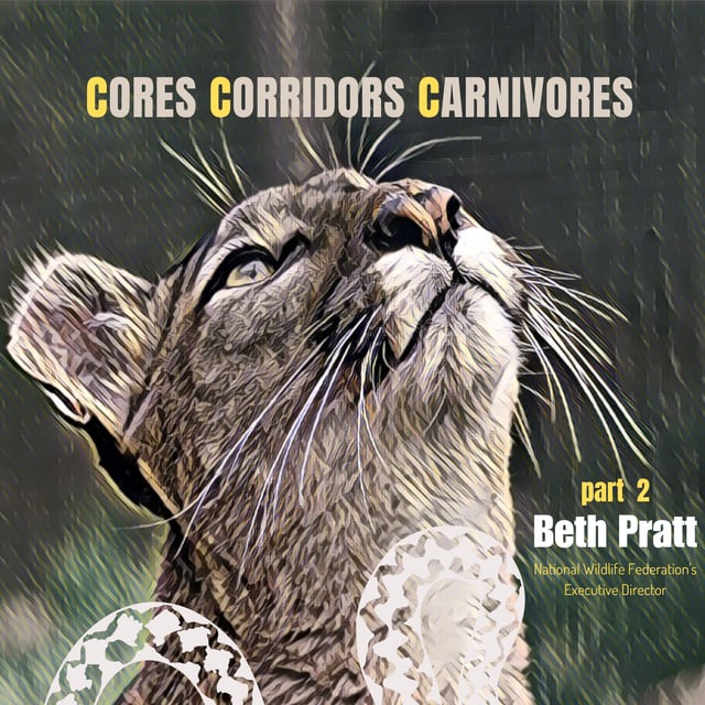 Part 2 | Beth Pratt | National Wildlife Federation | Coexisting with Wildlife image