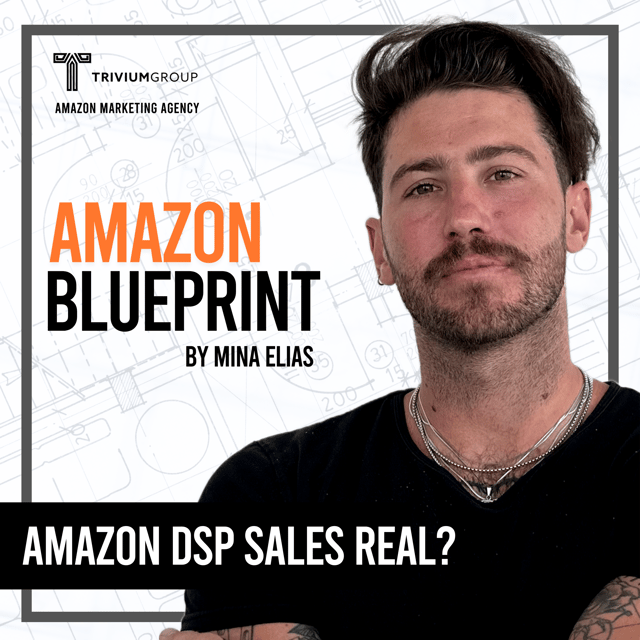 Amazon DSP Ads: The Hidden Truth Behind Your Sales image