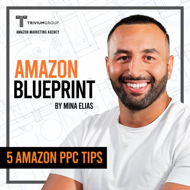 Master Amazon PPC: 5 Pro Tips to Maximize Sales & Profits image