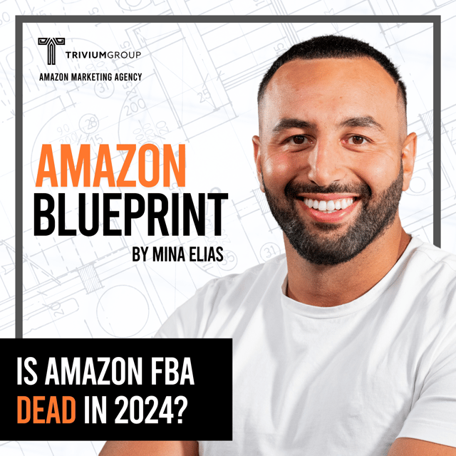 Is Amazon FBA Dead In 2024? image