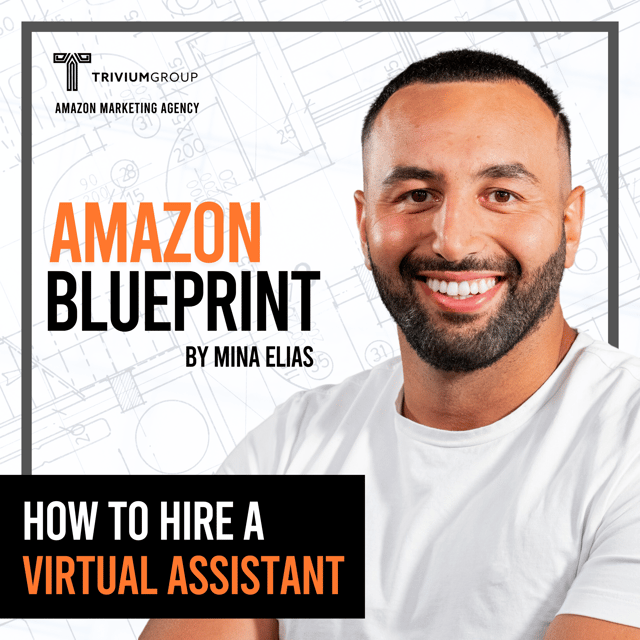 How To Hire A Virtual Assistant  image
