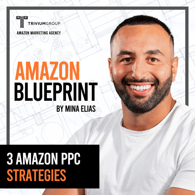 3 Amazon PPC Strategies - A Comprehensive Guide For Sellers  image
