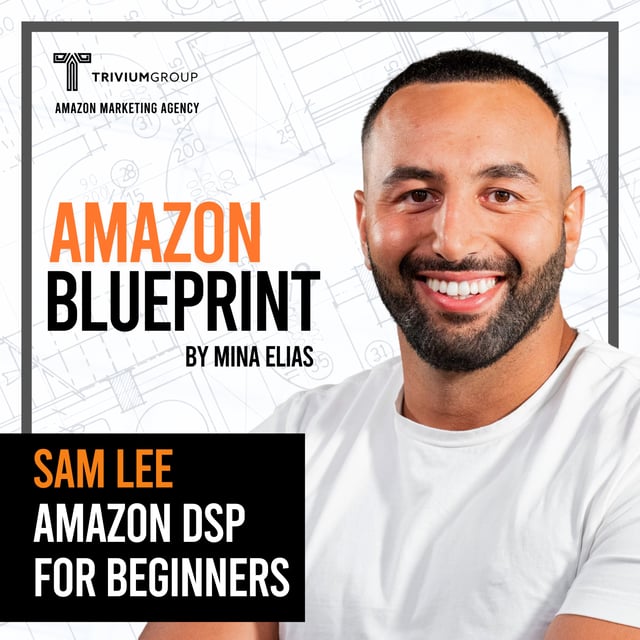 Amazon DSP Advertising Explained for Beginners | Ultimate Guide image