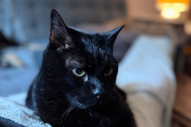 What's going on in electricity world? image