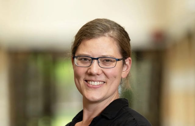 The fate of fossil fuel systems in the "mid-transition" image