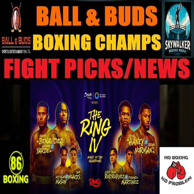 Devin Haney, David Benavidez, Jesse Rodriguez (Boxing Champs 🥊 The Ring IV Night of Champions) image