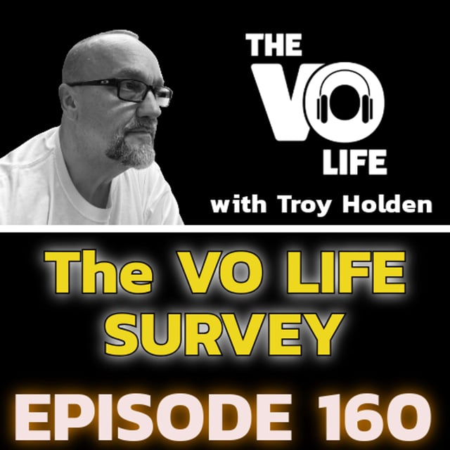 Ep 161 - The VO LIFE Survey Results image