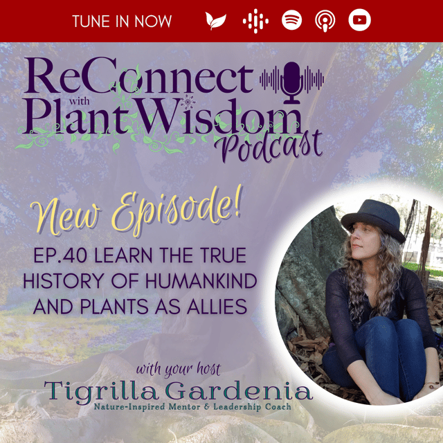 Ep.40 Learn the True History of Humankind and Plants as Allies image