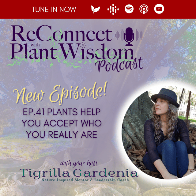 Ep.41 Plants Help You Accept Who You Really Are image