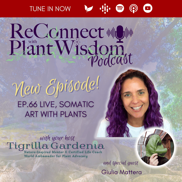 Ep.66 Live, Somatic Art with Plants and Giulia Mattera image