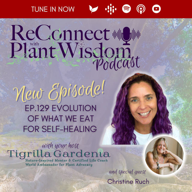 Ep.129 Evolution of What We Eat for Self-Healing with Christine Ruch image