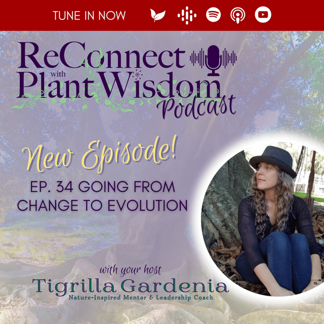 Ep.34 Going From Change To Evolution | Greater Complexity image