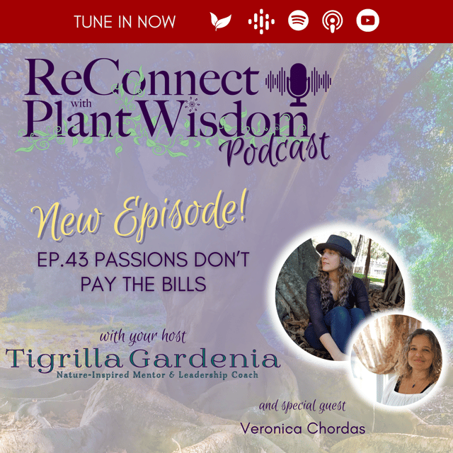 Ep.43 Passions Don't Pay the Bills image