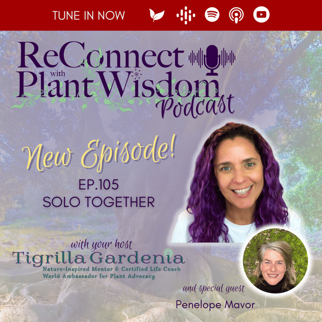 Ep.105 Solo Together with Penelope Mavor image