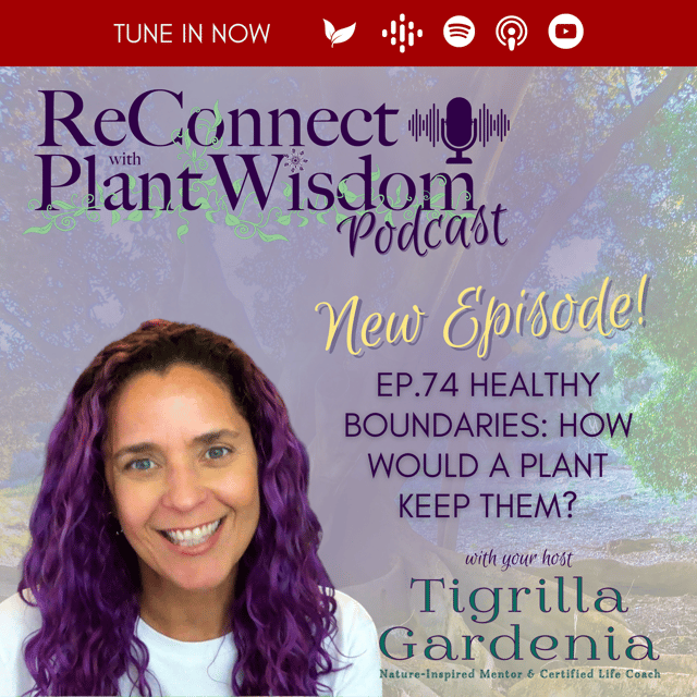 Ep.74 Healthy Boundaries: How Would a Plant Keep Them? image