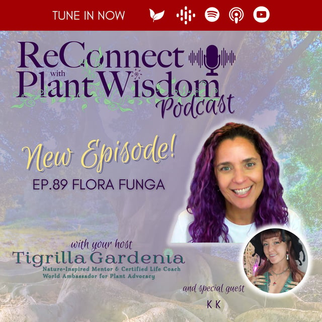 Ep.89 Flora Funga with KK image