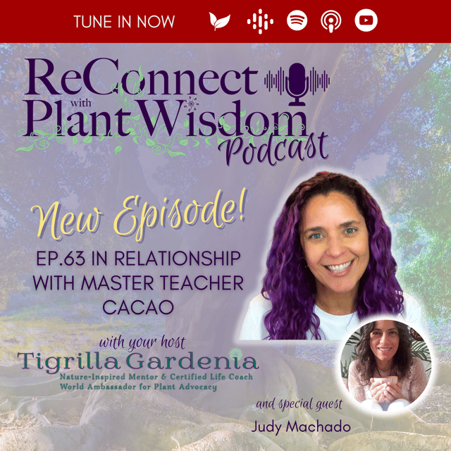 Ep.63 In Relationship with Master Teacher Cacao with Judy Machado image