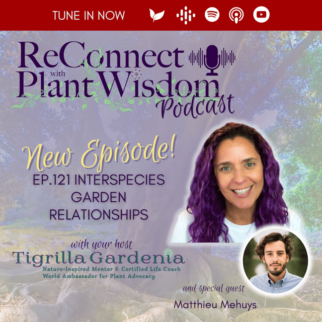 Ep.121 Interspecies Garden Relationships with Matthieu Mehuys  image