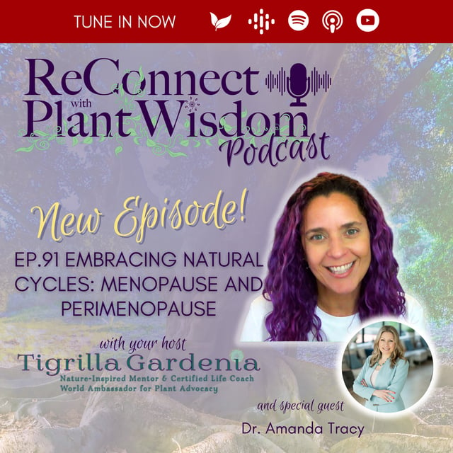 Ep.91 Embracing Natural Cycles: Menopause and Perimenopause with Amanda Tracy image