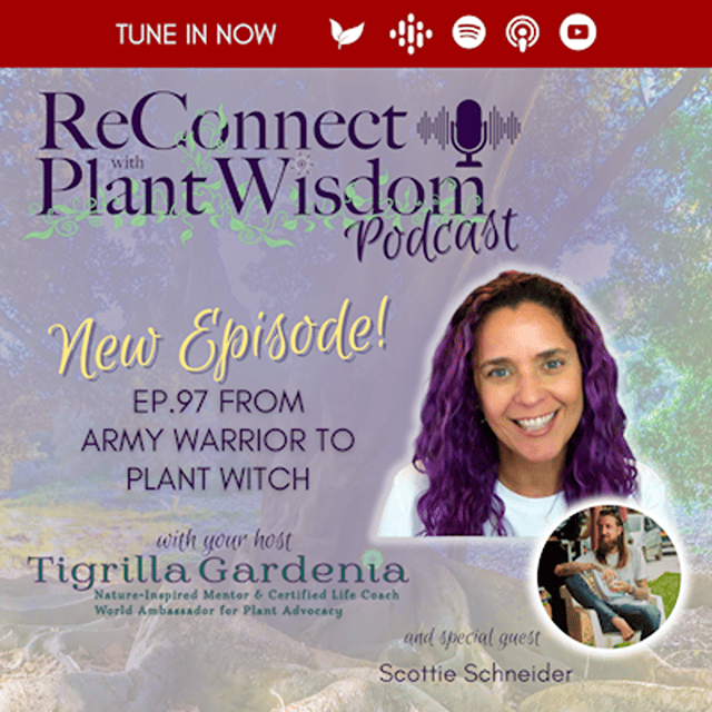 Ep.97 From Army Warrior to Plant Witch with Scottie Schneider image