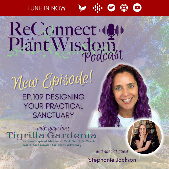 Ep.109 Designing Your Practical Sanctuary with Stephanie Jackson image
